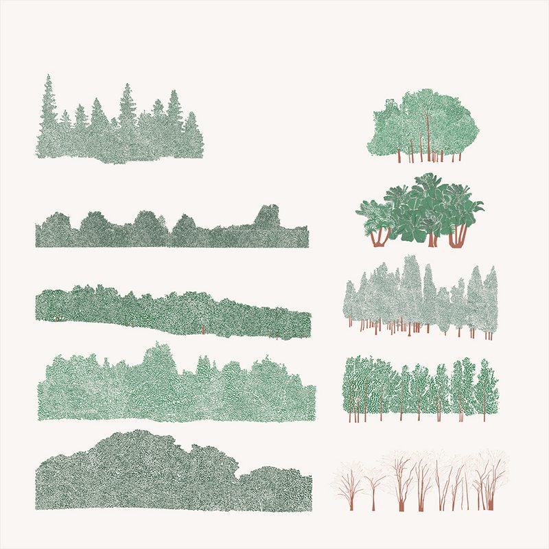 Transitional Tree Line Background Show it Better | Background Tree Lines