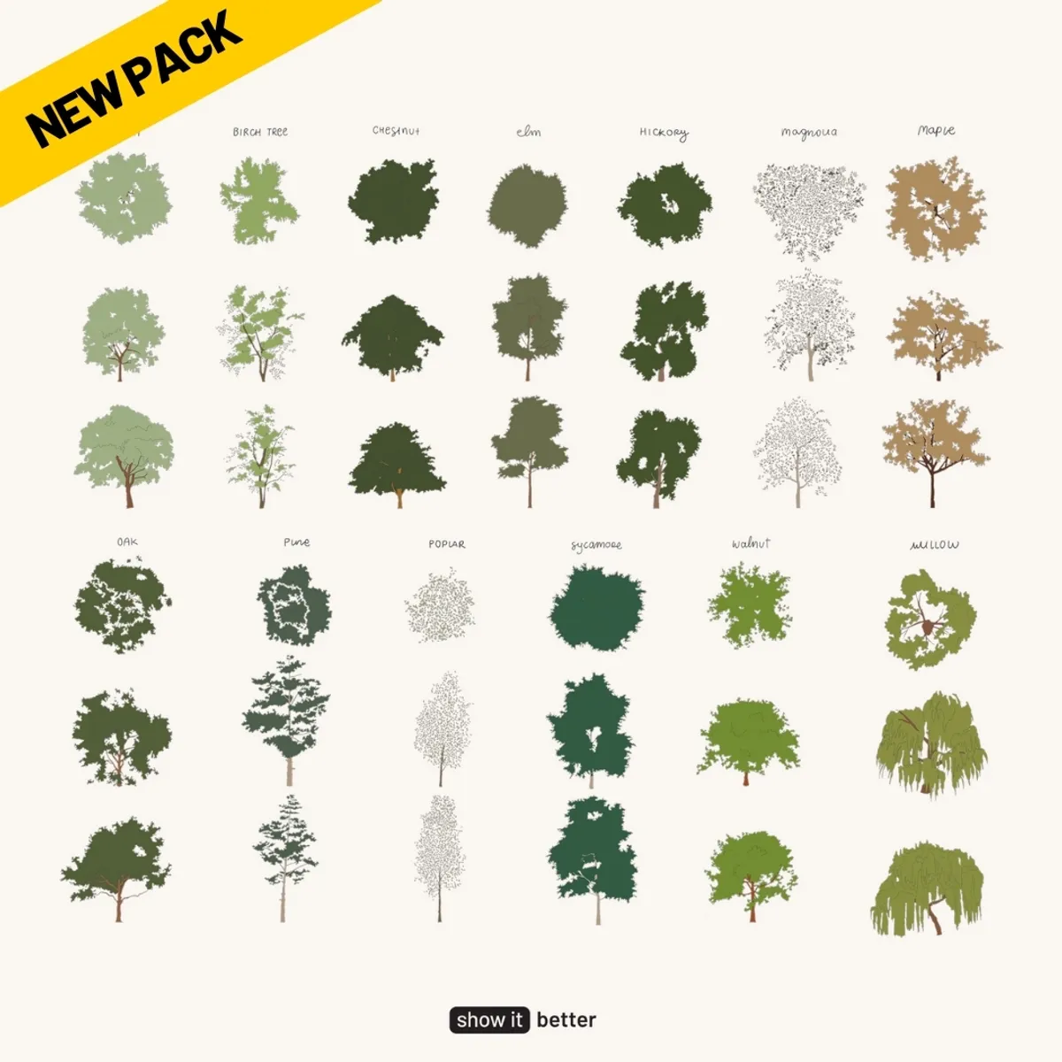 Broadleaf Trees 9 Fast Growing Trees In The UK