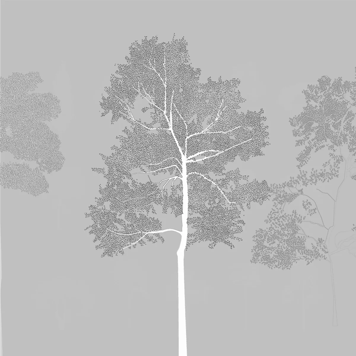 Section Elevation Drawing Trees Tree Elevation Stock Illustrations