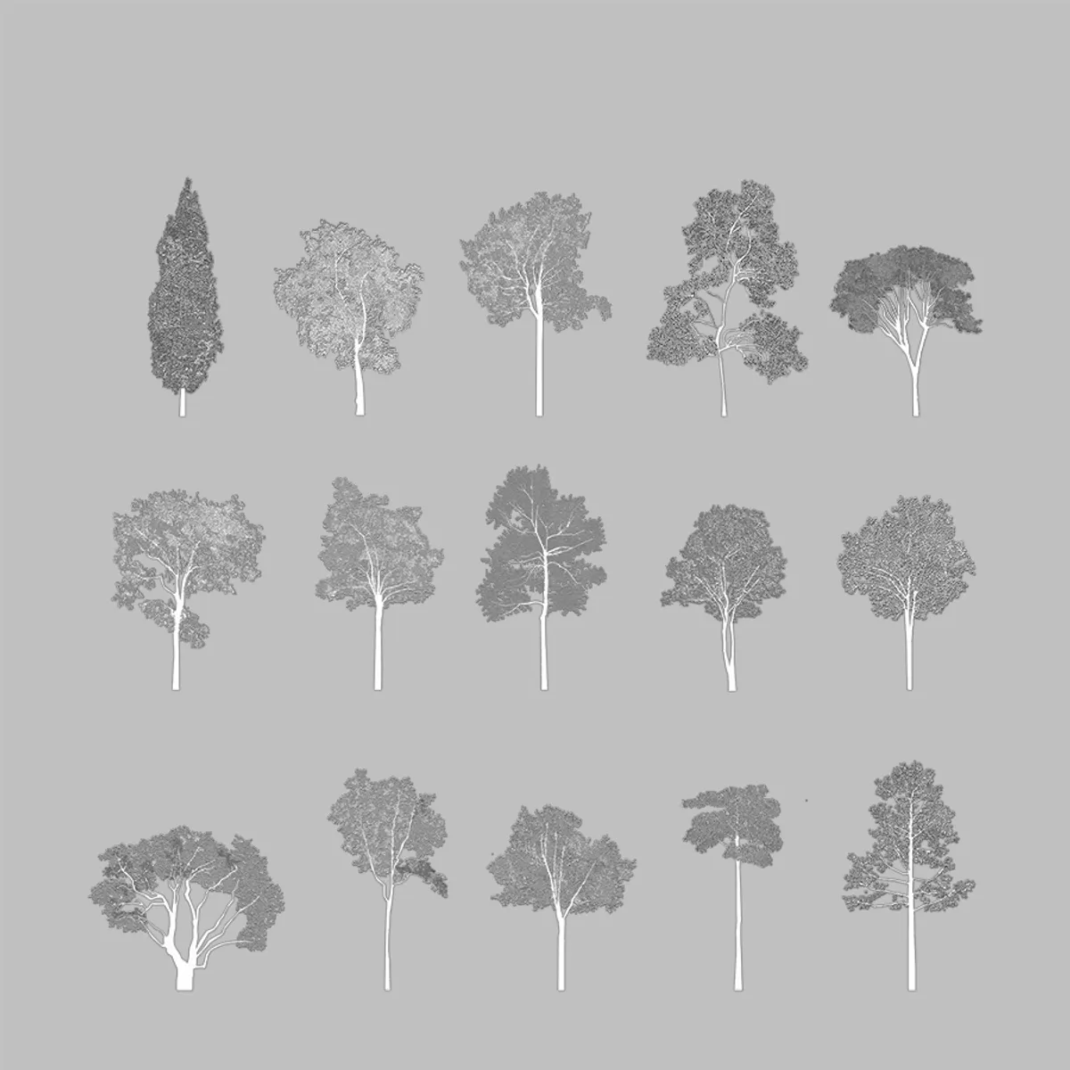 Show it Better | Broadleaf Trees Elevation