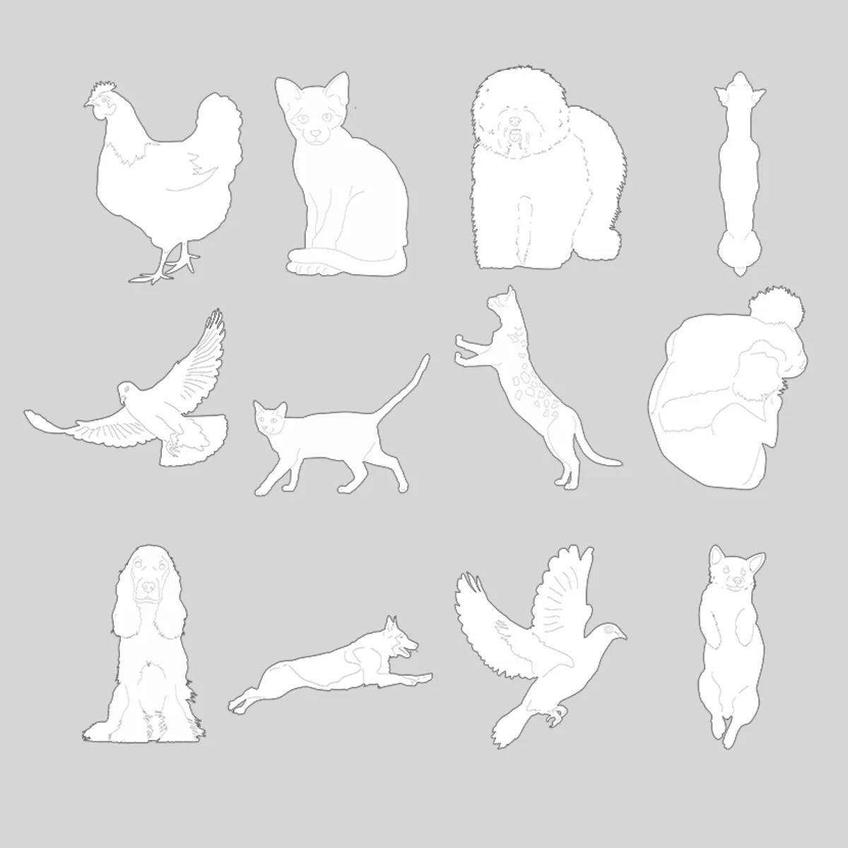 Domestic Animals Main View