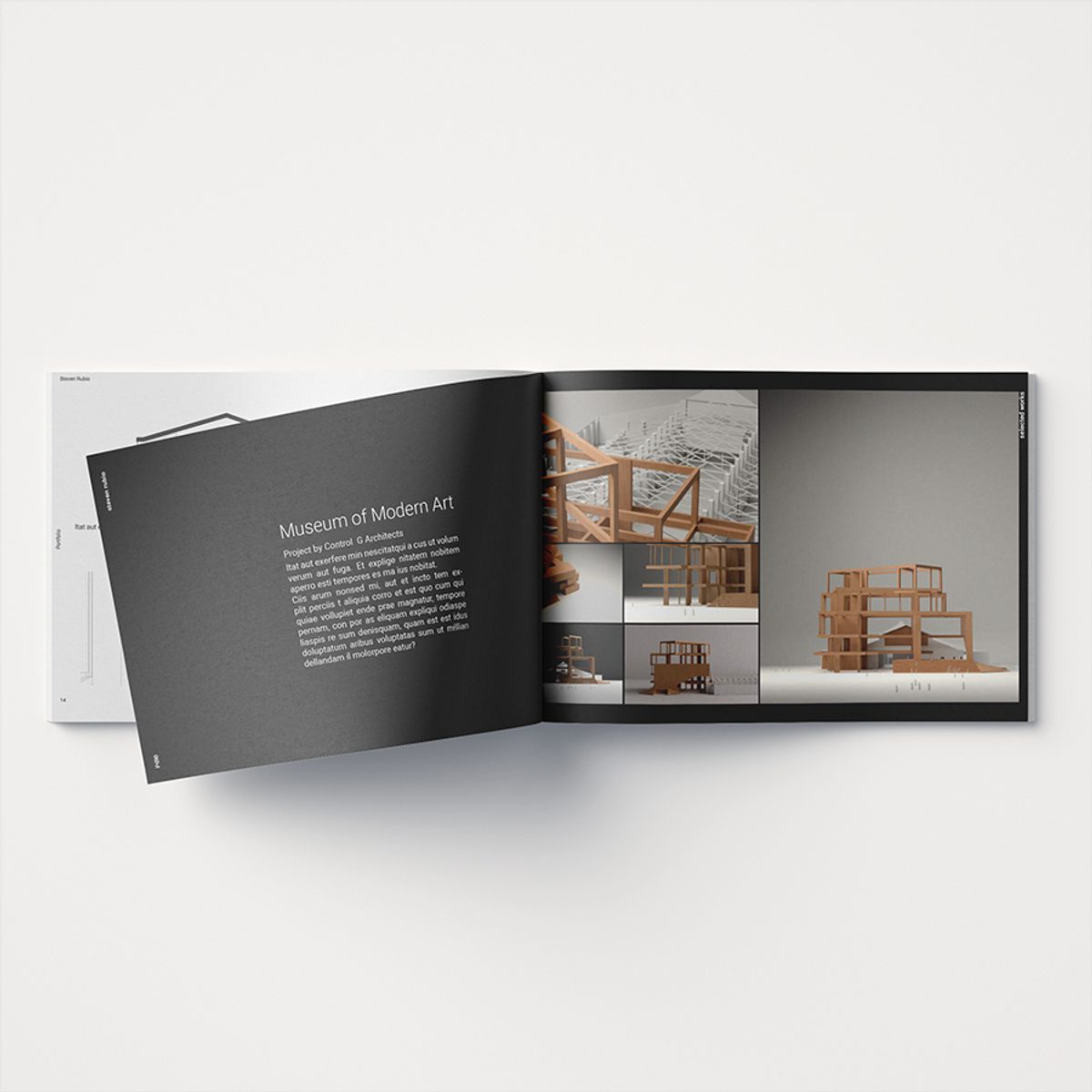 Show it Better | Portfolio Collection