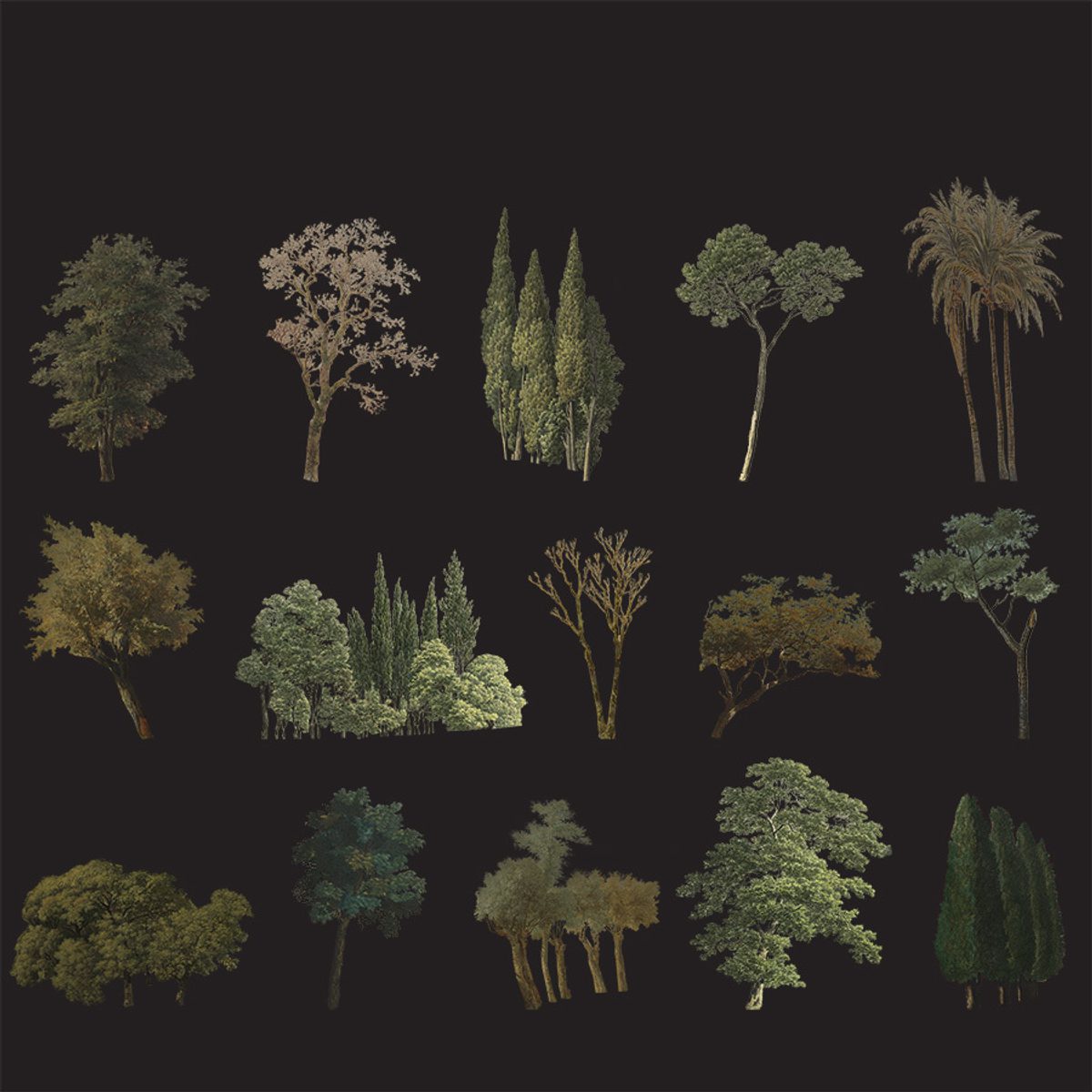 Show it Better | Trees Painting Collage 2nd Edition