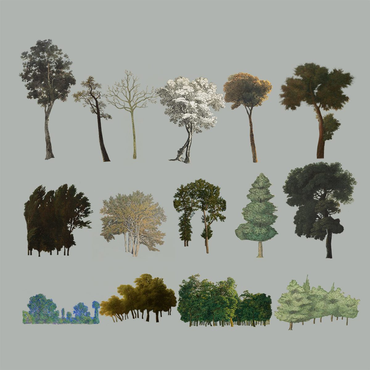 Show it Better | Trees Painting Collage Pack